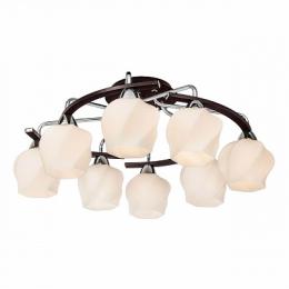 Изображение продукта Потолочная люстра Silver Light Aranda 